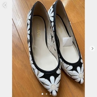 ティーティーアンドコー　パンプス