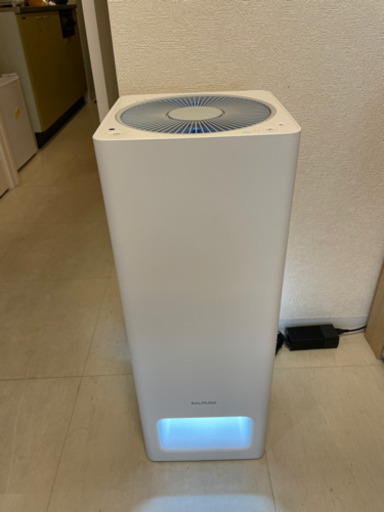 バルミューダ the pure