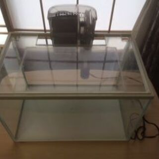 ★GEX水槽セット★幅約40センチ★おまけ付き★