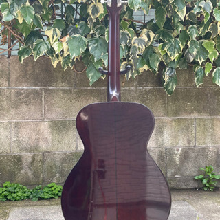 アコースティックギター ウエストーンMF-13の画像