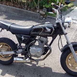 原付きバイク売ります。ホンダエイプ50タンデムシート付きの画像
