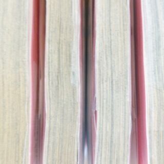 花のち晴れ「１～４」巻の画像