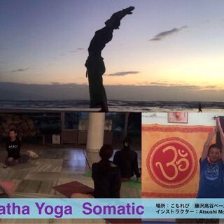 Ahimsa Yoga　Somatic Hatha Yoga 藤...