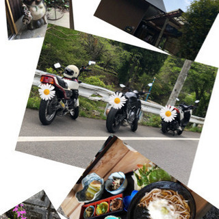 レディースライダーさん募集！！