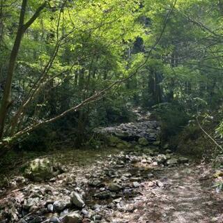 多摩地区 アラフォー グルチャ