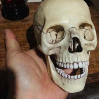 💀『made in bingo』カスタム メメント・モリ＊閲覧注意