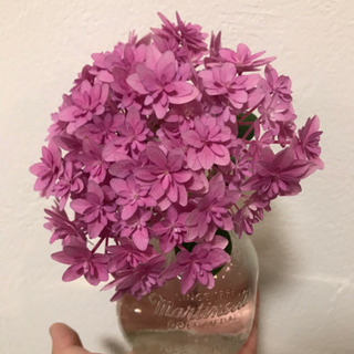 期間・数量限定⭐︎ 紫陽花の切花いろいろ　瓶付で。
