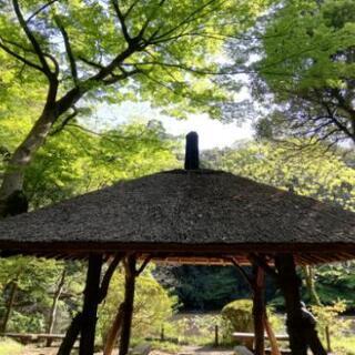 お散歩友達の募集です(^ ^) - 中央区
