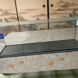 90センチ水槽
