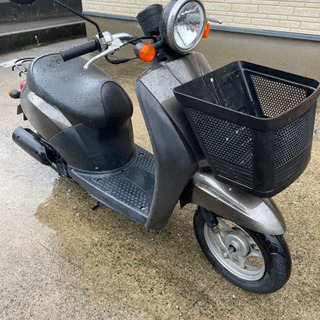 ホンダ　トゥデイ  原付の画像