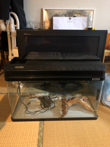 熱帯魚水槽