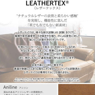 クラッシュゲート　バッジオ　2人掛け電動リクライニングソファの画像