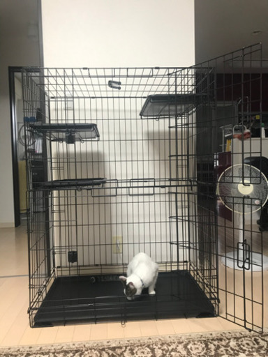 Amazonベーシック　猫用　ケージ　ゲージ　大型