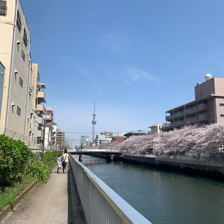 【風呂マラソン部】メンバー募集してます！ − 東京都