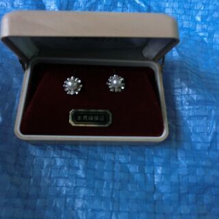 ⭐パール、ＳＩＬＶＥＲ刻印イヤリング、ケース付き、小さくても高級...