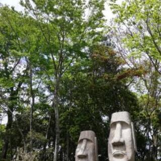 【天候不良を鑑みて中止】5/16日、バイクでランチツーリング募集...
