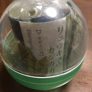 カジカガエル カプセルトイ