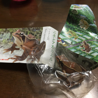 ニホンアカガエル カプセルトイ