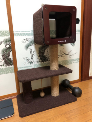 キャットタワー