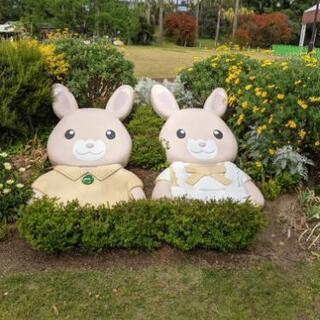 グルチャのメンバー大募集〜!