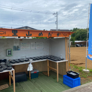 里山公園前　メダカとミジンコ　無人販売所　里山めだか　5/16