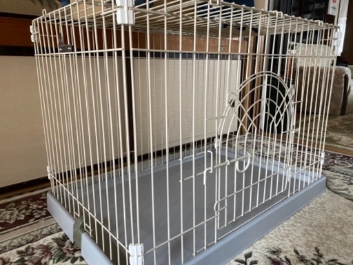 犬 サークル