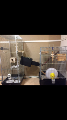 リス　モルモット　小動物　ゲージ　大・小セット