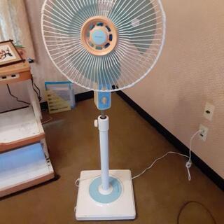 【値下げ】扇風機の画像