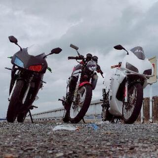 原付仲間募集🏍