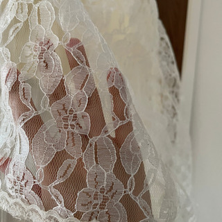 天蓋カーテン 蚊帳 モスキートネットの画像