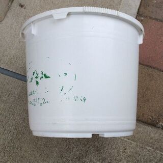 漬物樽　（元は味噌樽）の画像