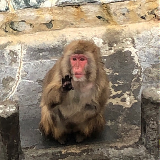 ⭐️5月中旬以降時間ある方⭐️  札幌、旭川、帯広