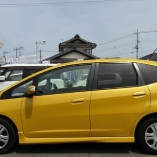 😎キュートなイエロー😎の画像