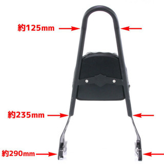新品未使用 ハーレー バックレスト シーシーバーの画像