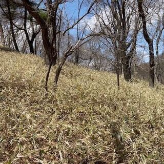 長野県佐久市 ＃51 不動産0円物件 - 土地販売/土地売買