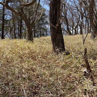 長野県佐久市 ＃51 不動産0円物件 − 長野県