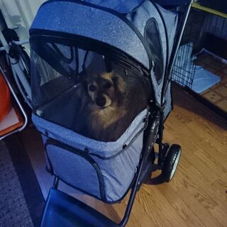 売ります