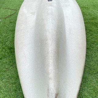 ホビーカヤック　アウトバックの画像