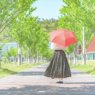 写真撮影に行きませんか？😆✨