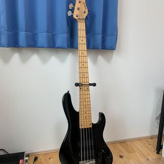 Sadowsky Metro M5-24