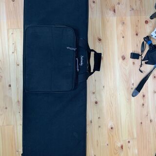 Sadowsky Metro M5-24の画像