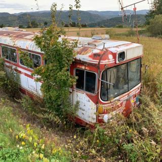 バスの廃車を探しています。