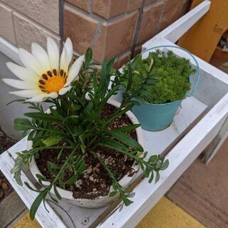 はんどめいど木工　ガーデニング雑貨の画像