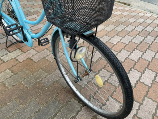 早い者勝ち❗️‼️