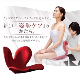 座椅子 椅子 ボディメイクシート スタイル Body Make ...