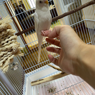 お話中