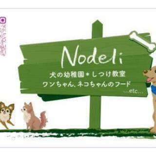 わんちゃんねこちゃんのトータルコーディネーター🐶🐱