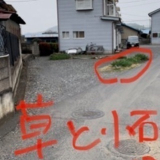 雑草と小さい樹木の処分と中くらいの木の剪定