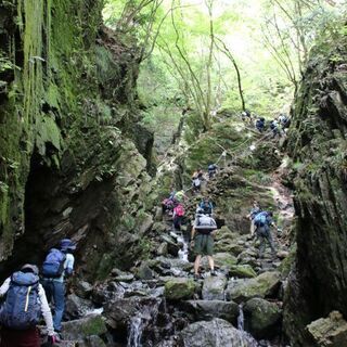 （募集終了）5/23(日曜)ゆるゆる山歩き 棒ノ折山