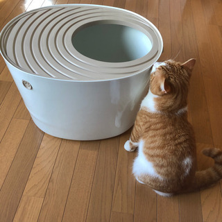 中古 猫 トイレの画像